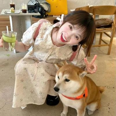 猫咪心动奇迹